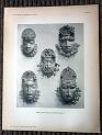 zz-lusc19,tafel 096 benin nigeria,bronze-maske